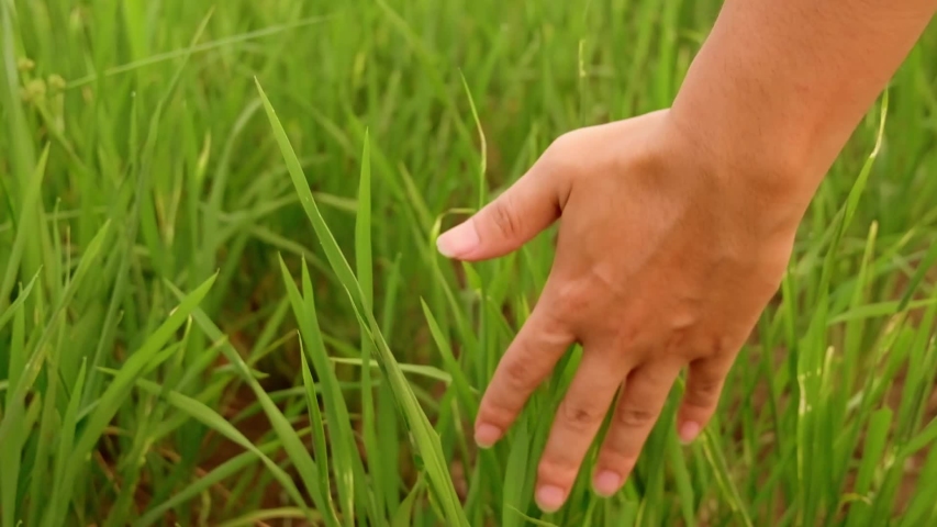 Touch some grass. Go Touch grass. Go Touch some grass. Touch grass Мем.