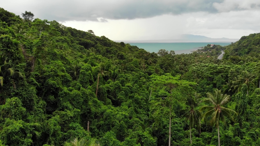 Overcast sky over tropical island. Gray cloudy sky, green palms on Koh Samui during wet season in Thailand. Drone view. Flying over wild rainforest and jungle near paradise ocean beach. Storm in Asia. | Shutterstock HD Video #1038581945