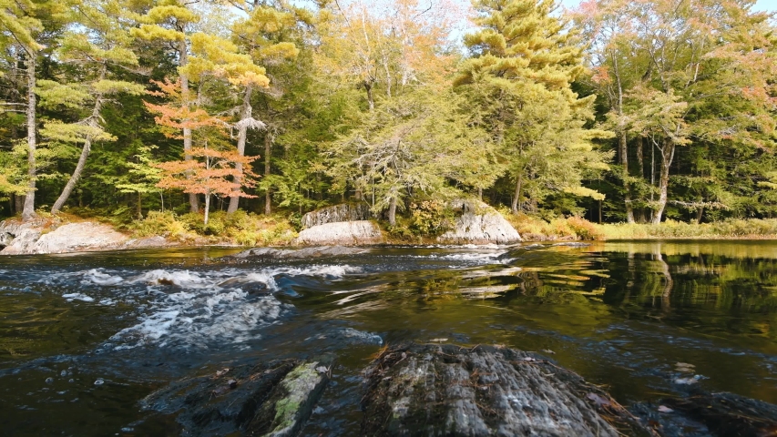 River flows through the Kejimkujik National Park in Nova Scotia, Canada. Autumn leaves on the trees.