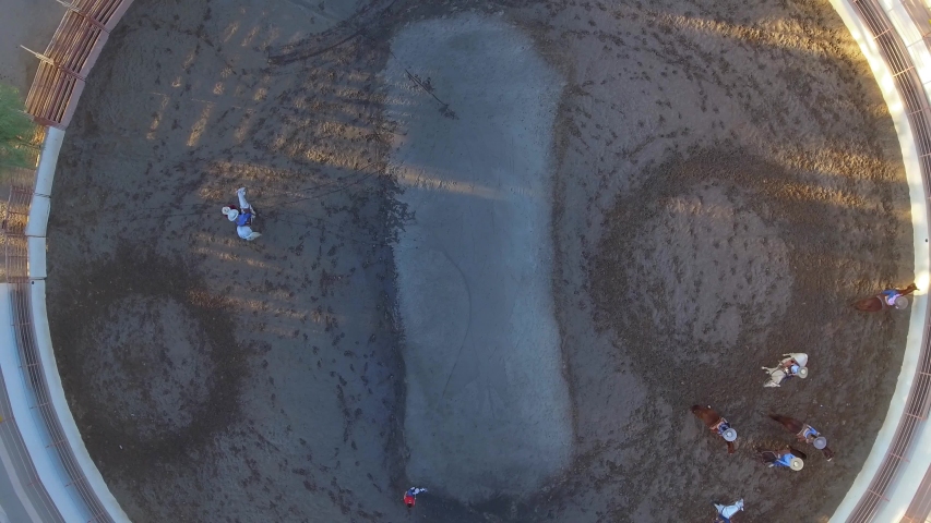 Horses running in circles in rodeo grounds