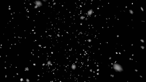 High quality motion animation repesenting snow falling on black background. Snowing footage
