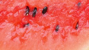 Closeup slice of ripe juice watermelon with pits. Delicious healthy fruits. 4K UHD video