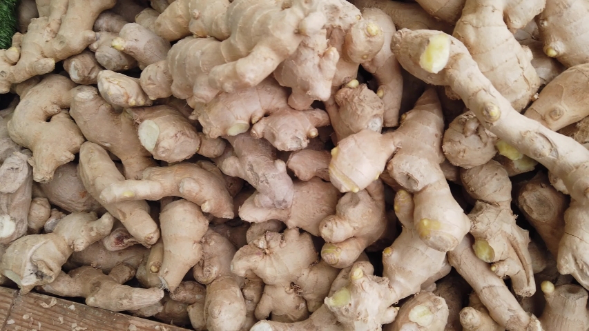 Slow motion tracking shot of pile of root ginger, Zingiber officinale, on a market stall Royalty-Free Stock Footage #1038623738