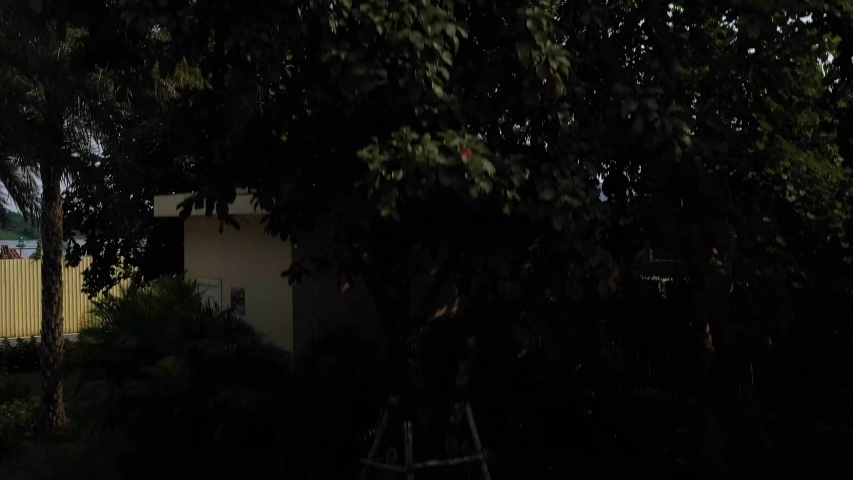 ascending aerial shot of ultra modern mobile phone tower disguised as a palm tree against a background of a riverfront construction site with city buildings, cranes and boat traffic on the river - Powered by Shutterstock - Get 15% off with code: PIKWIZARD15