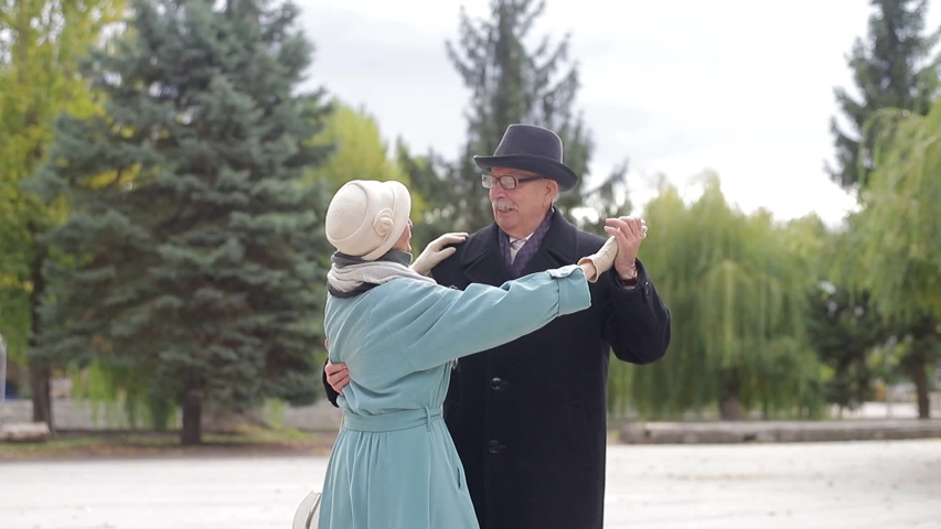 Happy mature older couple dancing laughing in the park, beautiful romantic middle-aged older grandparents relaxing having fun together in the park Royalty-Free Stock Footage #1038626762
