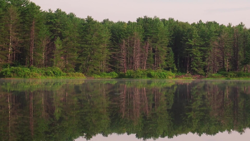 Pan right of forest treeline reflecting over water