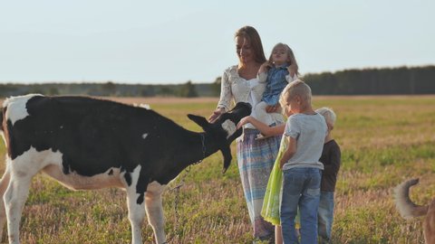 A mother and her 4 children touch a cow.