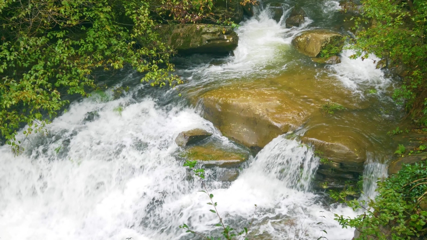 Stream water falling in forest