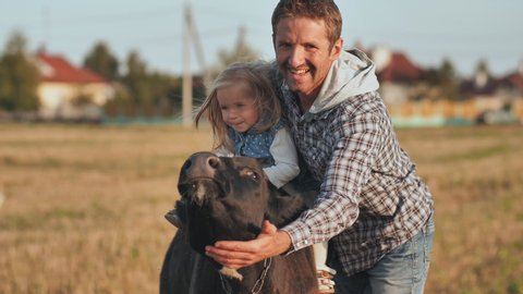 Father planted a one-year-old daughter on a cow and poses.
