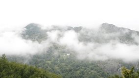 Clouds and fog passing high mountains, timelapse. Fog covering green trees on the hill. Forest landscape. 