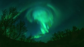 Aurora borealis moving through opening in forest trees Thingvellir Iceland.mov
 - Powered by Shutterstock - Get 15% off with code: PIKWIZARD15
