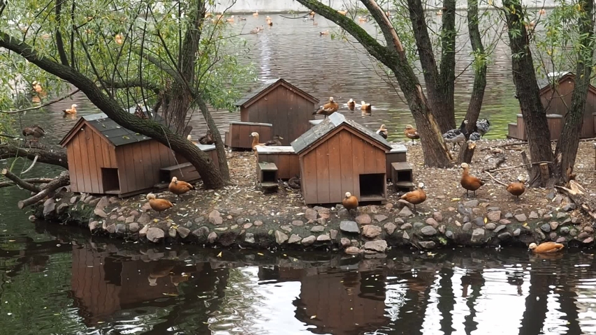 Bird houses in the Moscow zoo in the summer. Russia