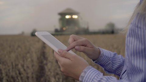 Farmer using digital tablet computer in cultivated soybean field, use of drone, applying modern technology in agricultural activity, selective focus.