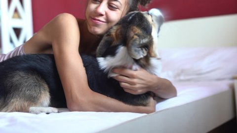 young happy smiling woman lying in bed with her pet - funny cute playful tricolor Welsh Corgi dog at morning. young happy mistress playing and hugging with pet in bed
