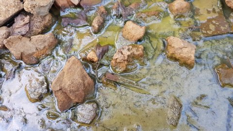 environmental pollution, dirty water in a silt with stones and rubbish