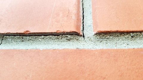 Red brick wall, closeup review. Crack in grey seam.