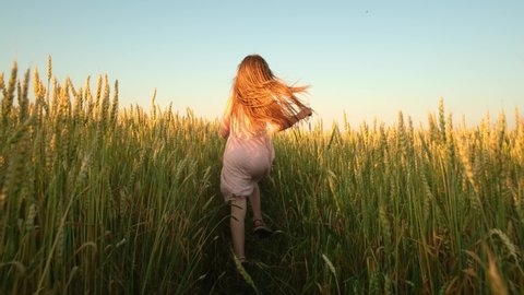little girl with long hair runs across the field at sunset.の動画素材