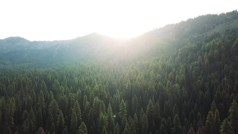 Soar over this Idaho forest as the sun peaks over the horizon casting white across the sky.