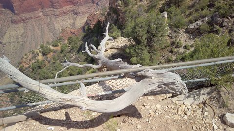 Grand Canyon National Park Mather Point, northwestern Arizona, Steep-sided canyon carved by Colorado River in Arizona UNESCO WHS in 1979 Gimbal panning cinematic legal Rec.709 ProRes 422 4K
