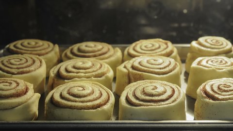 Cinnamon rolls buns baking in the oven time lapse