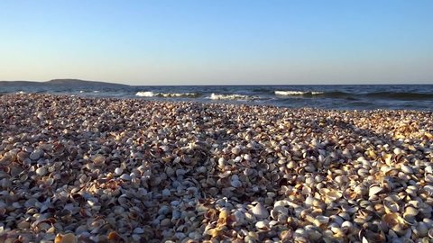 Large sea waves wash shells lying on the sandy beach at sunset on a summer evening.