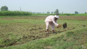Old Asian farmer preparing a Paddy for Planting field stock video
Pakistan, East Asia, Asia, Guilin, Poverty, Farmer