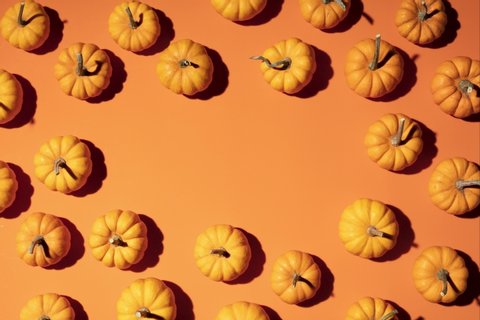 Fall Pumpkin Stop-Motion on an orange theme background - Top view stopmotion