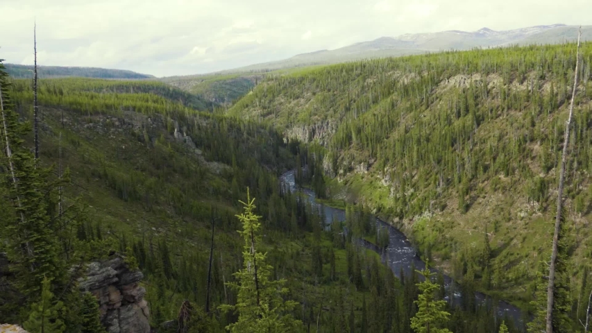Looking down into a forest valley with a mountain stream