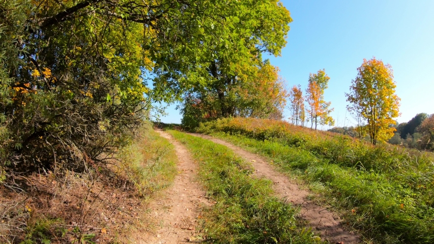 Winding Path Between Multicolored Trees On A Sunny Autumn Day.