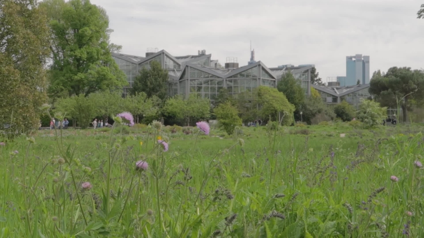 Palmengarten, Frankfurt. Outside view buildings in background. Plants and vegetation in foreground. Good opening shot.