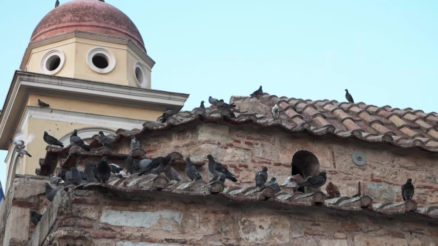 Pigeons on the building rooftop in downtown of Athens, Monastiraki square.