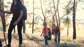 happy family walking through the forest navigation tourists with wooden sticks with backpacks teamwork and children slow motion video concept. father mom dad son and daughter come with wooden sticks