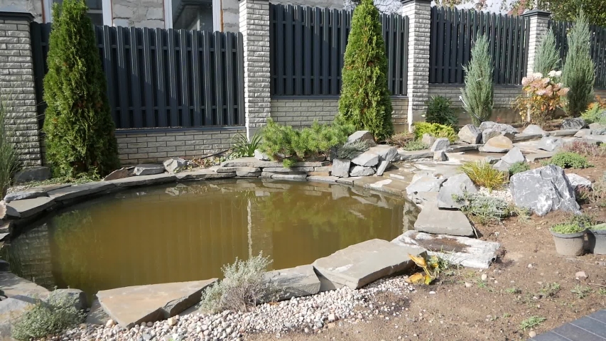 landscaping, paths, plants, shrubs, Tuya, juniper, a small pond.