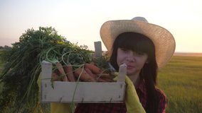 girl red neck farmer. agriculture harvest eco farming a concept slow motion video. a happy girl works harvesting walks carries a wooden box with carrots ground across a field with black earth in