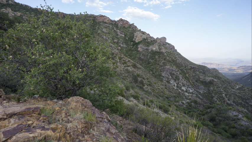 Sunset in Big Bend National Park