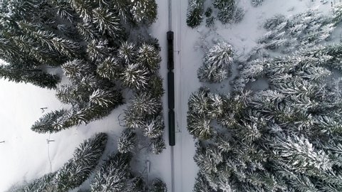 Top down aerial shot of railway train in snow covered forest trees