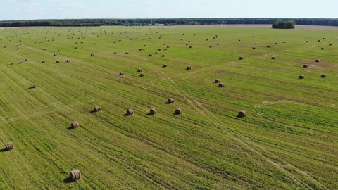 Aerial view of a mowed field of wheat with abandoned sheaves of straw.