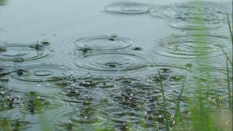 first drops of rain slow motion Stock Video