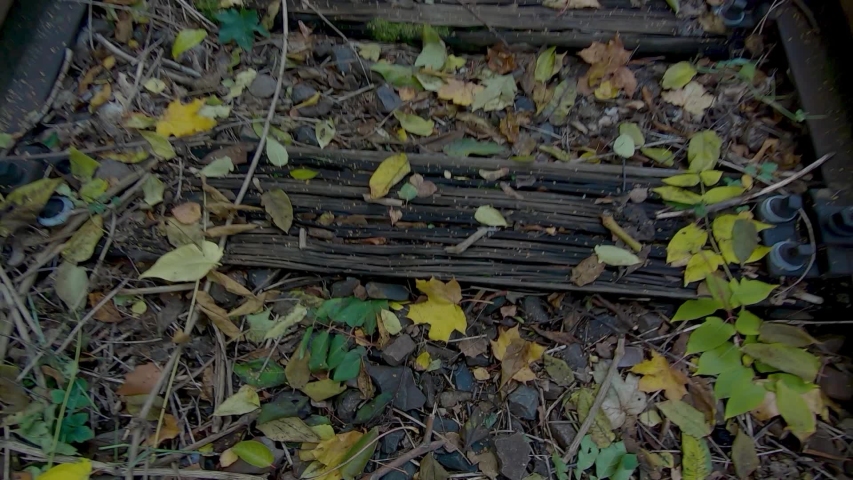 Old Abandoned Railway Tracks With Fallen Leaves In The Forest In Berlin, Germany