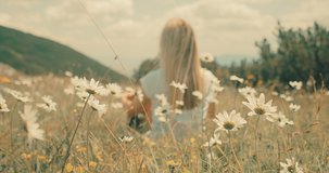 Happiness Woman tourist traveler sitting on meadow camomile flowers, top of mountain in summer, sunny day under sun light. 4K slow motion video
