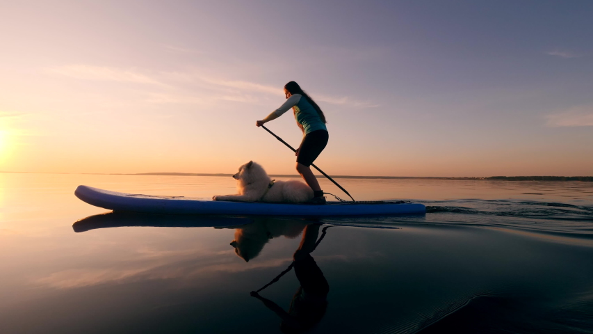 Sunset waters with a young woman doing SUP with her dog