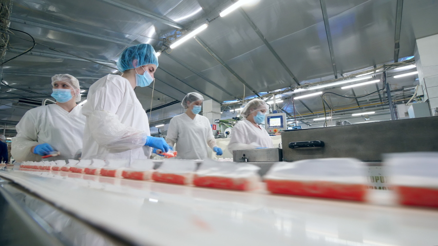 Fish food production unit with female employees at work. Factory Workers Assembling products. Royalty-Free Stock Footage #1038981035