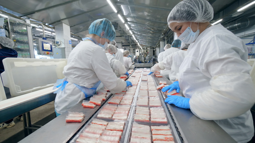 Female factory workers are relocating fish sticks. Factory Workers Assembling products. Royalty-Free Stock Footage #1038981038
