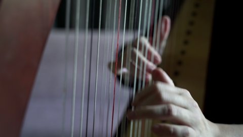 Close up of musician fingers on strings, harpist playing classical melody. Female playing the harp. Stringed musical instrument and young women touching strings. Traditional musical instrument. 