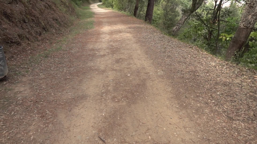 The green way of the carrilet path of Olot
