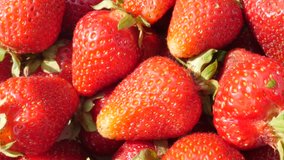 Red strawberry fruit background slow tilting 4K 2160p UltraHD footage - Fragaria ananassa slow tilt on red fresh fruit pieces 4K 3840X2160 UHD video