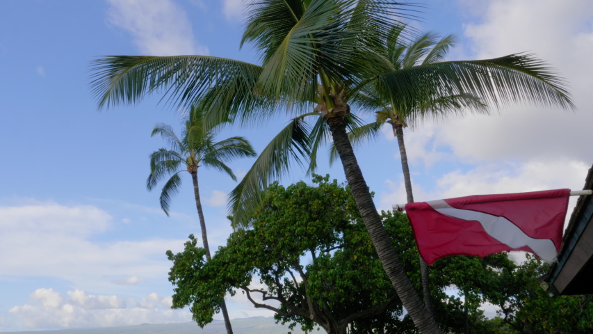 Diver Flag at Dive Shop at Mauna Lani Hawaii