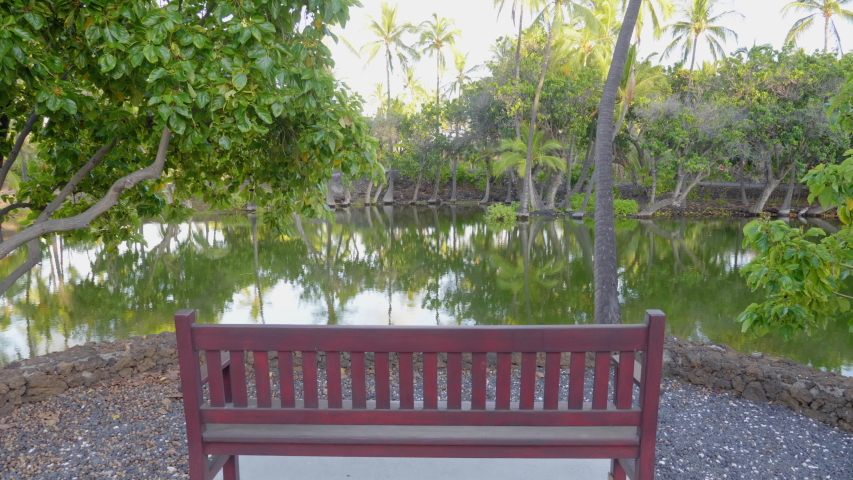 Mauna Lani Ponds Beach Hawaii Big Island Reflections