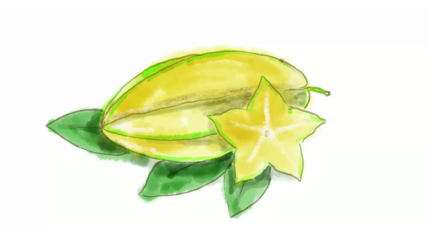 Time lapse video 2D animation of a watercolor drawing of a Carambola, or star fruit, the fruit of Averrhoa carambola on white screen in HD high definition.