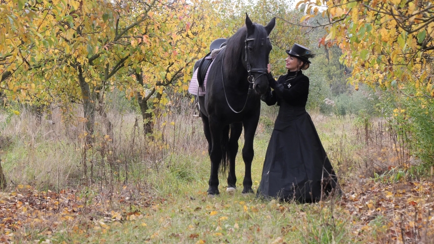 Image by Shutterstock Beautiful Black Friesian Horse Women's Tee
